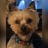 bill_0808